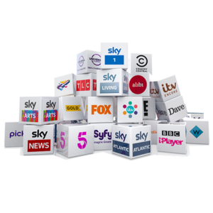 12 MONTHS PREMIUM SERVICE FOR 2 DEVICES